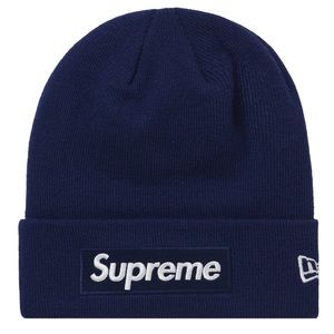 Supreme new era box logo beanie (fw21)